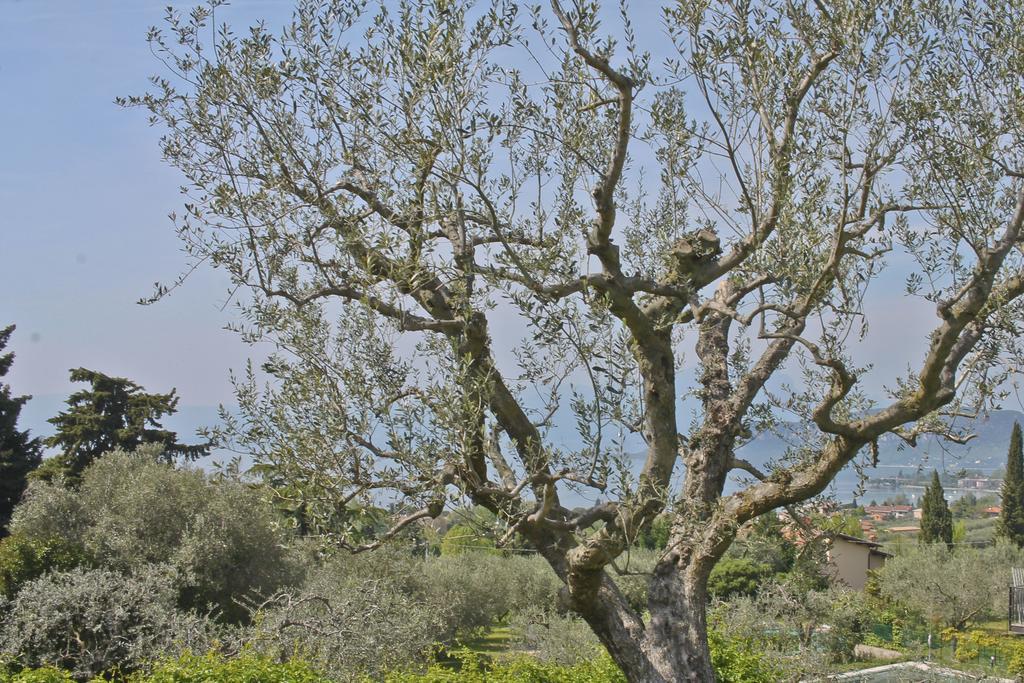 Lovely Villa Elena - Garda Lake Bardolino Exterior foto